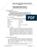 Resumen Ejecutivo Ayaccocha - Huanaspampa