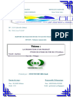 Document 011 Rapport Commercial
