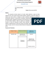 Aspergillus Escrito