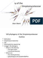 16S Phylogeny of The: Streptomycetaceae