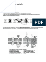 Micro Curs