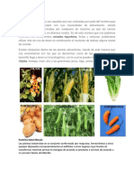 Plantas alimenticias: cereales, legumbres y más