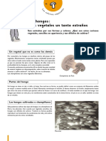 Los Cultivos Especiales - CEE.pdf