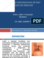 Labio y Paladar Hendido 2