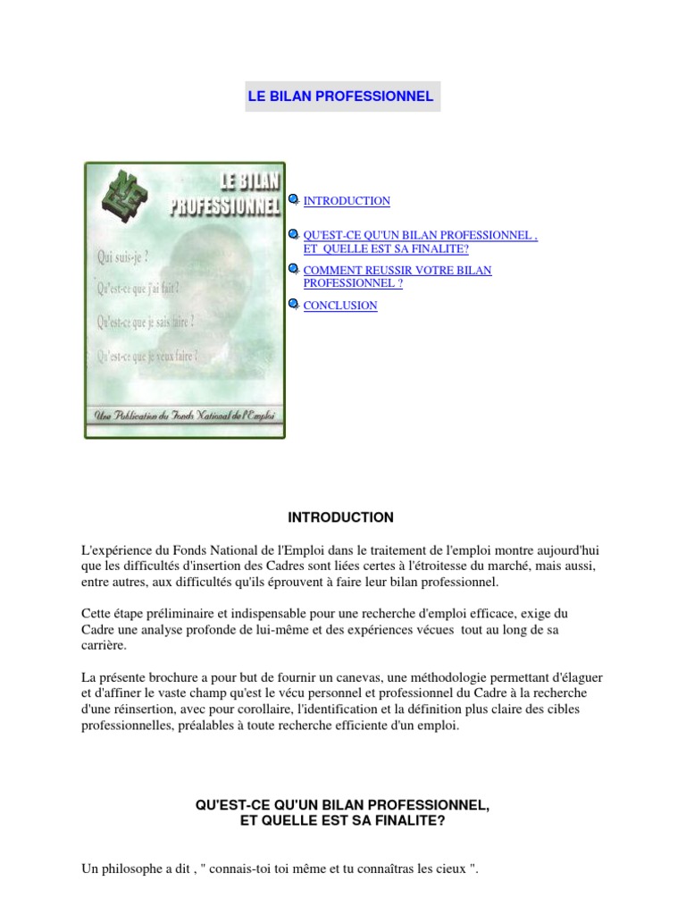 Le Bilan Professionnel Pdf Recherche D Emploi Savoir Faire