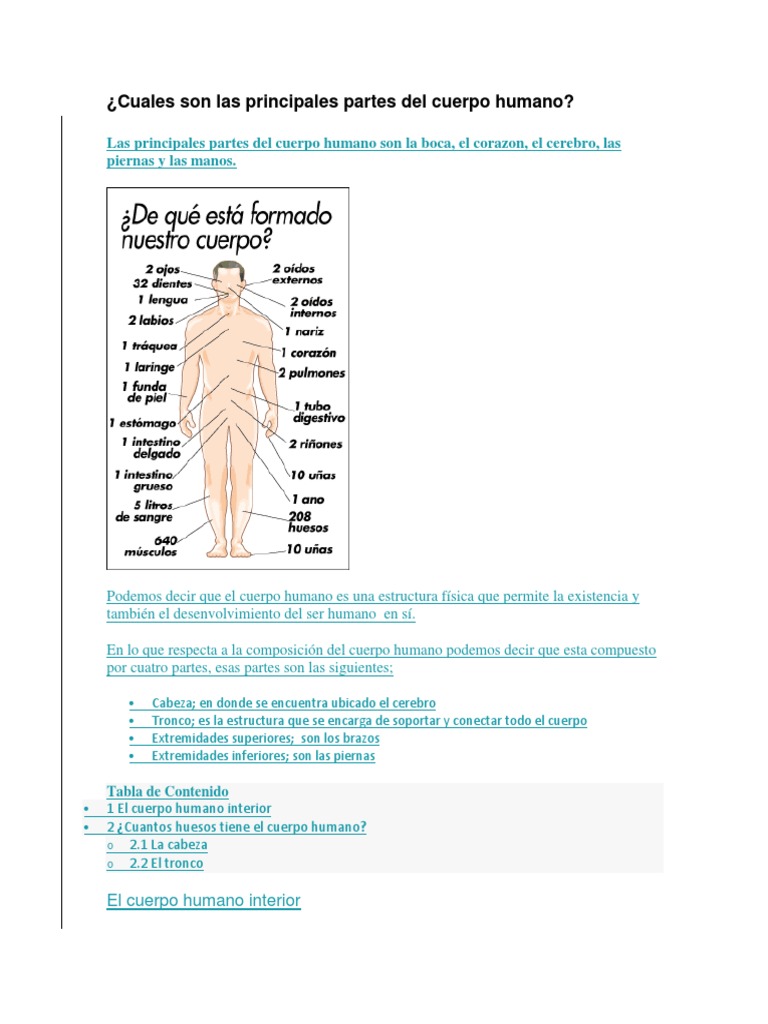 Partes Del Cuerpo Humano | PDF | Cuerpo humano | Homo Sapiens