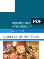 metabolismo del nitrógeno y lípidos