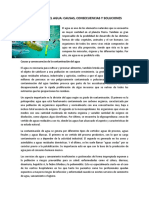 Contaminación Del Agua PDF