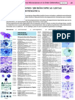 Preparaciones Microscópicas en La Ordem Systemática - Lieder - de