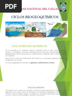 CICLOS BIOGEOQUIMICOS