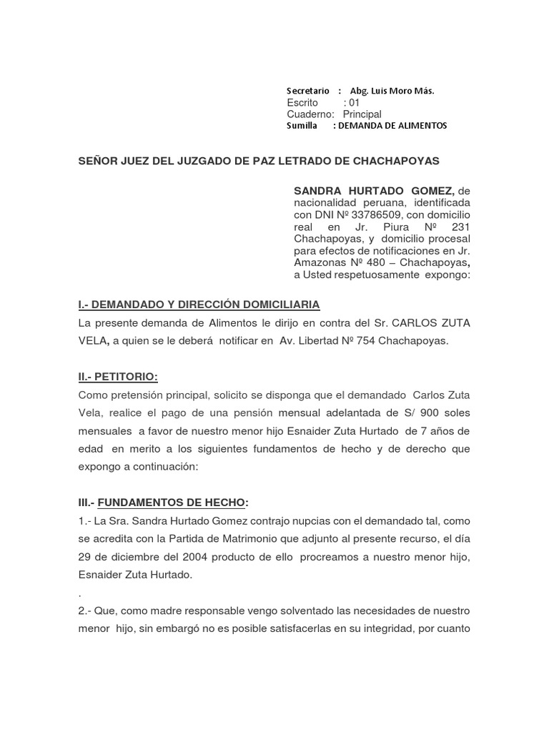 Demand A PDF Child Support Lawsuit