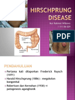 ppt hiscprung.pdf