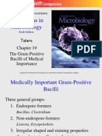 Gram + bacilli-2