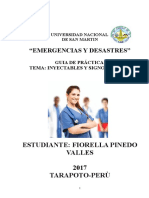 MANUAL PRACTICO FIORELLA PINEDO VALLES.doc