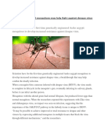 genetically modified mosquito  3 files merged 