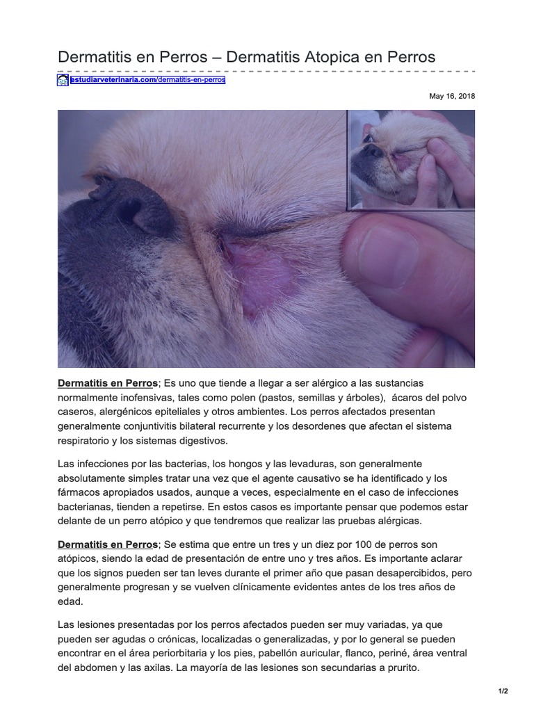 Dermatitis en Perros Dermatitis Atopica en Perros | PDF