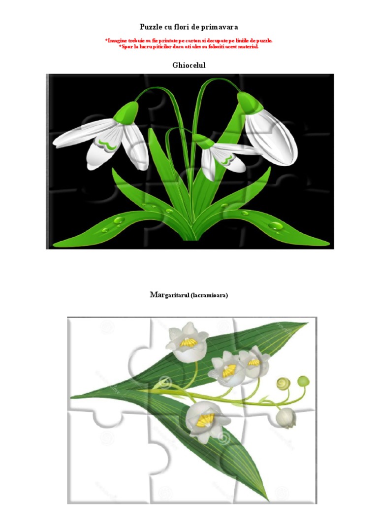 Puzzle Cu Florile De Primavara