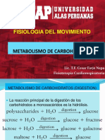 III Clase de Fisiologia Del Movimiento