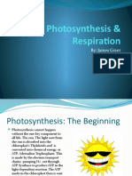Photosynthesis & Respiration: By: James Grant & Aimee Irvin