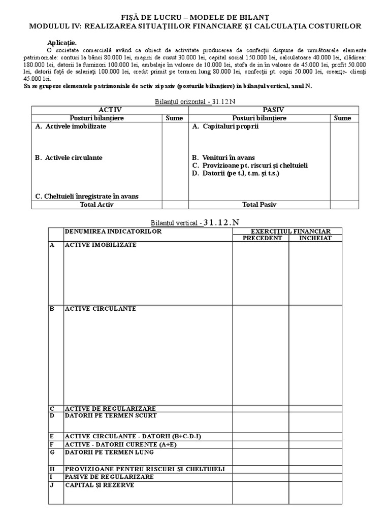 Fisa de Lucru Cls Xii Modele de Bilant | PDF