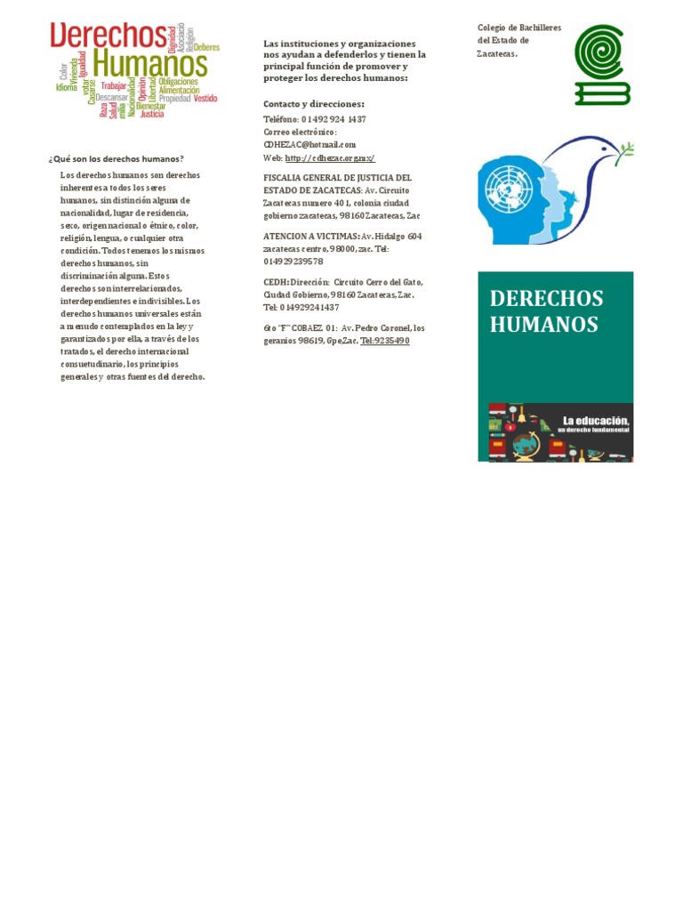 Triptico de Los Derechos Humanos | PDF | Derecho penal | Castigos