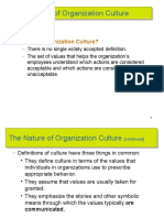 The Nature of Organization Culture