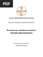 Brucelose Em Mamiferos Marinhos