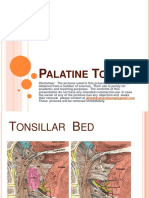 Throat_Pharynx_Palatine Tonsils_ENT_lectures.pdf