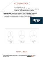 Facial y Biotipo Craneal