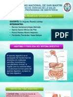 Hiperemesis Gravidica Fisiopatologia