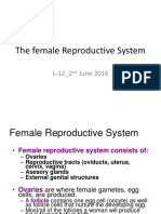 The Female Reproductive System