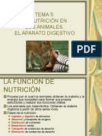 Tema 5: La Nutrición en Los Animales. El Aparato Digestivo