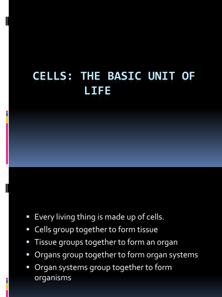 Cells: The Fundamental Units of Life | PDF | Endoplasmic Reticulum ...