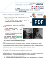 17.malformaciones Congenitas de La Columna Vertebral 01-04-16.1g