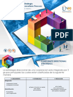 Identifica estrategias direccionales corporativas