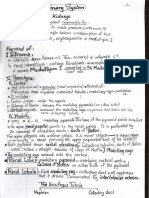 Urinary System