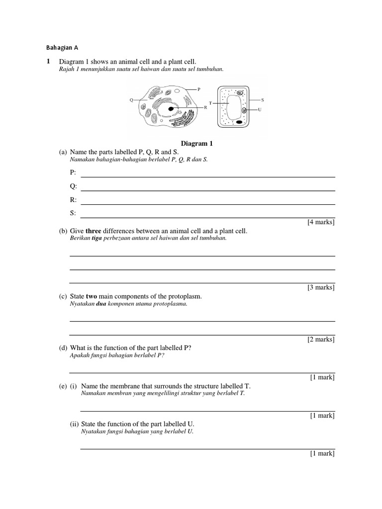 Cell structure and function analysis | PDF | Cell Membrane | Enzyme