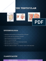 Cáncer testicular y de pene: epidemiología, clasificación, diagnóstico y tratamiento