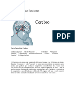 cerebro_funciones.doc