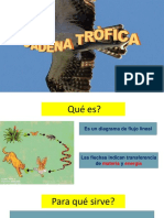 03 Cadena Trofica