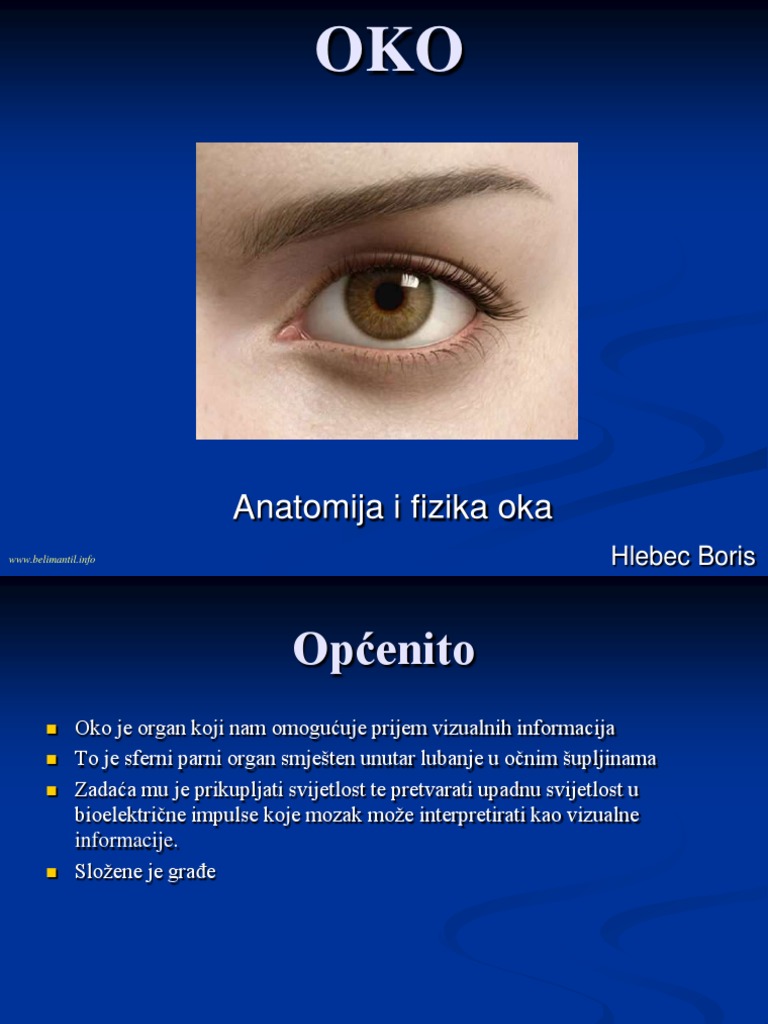 Oko - Anatomija I Fiziologija (HR) | PDF