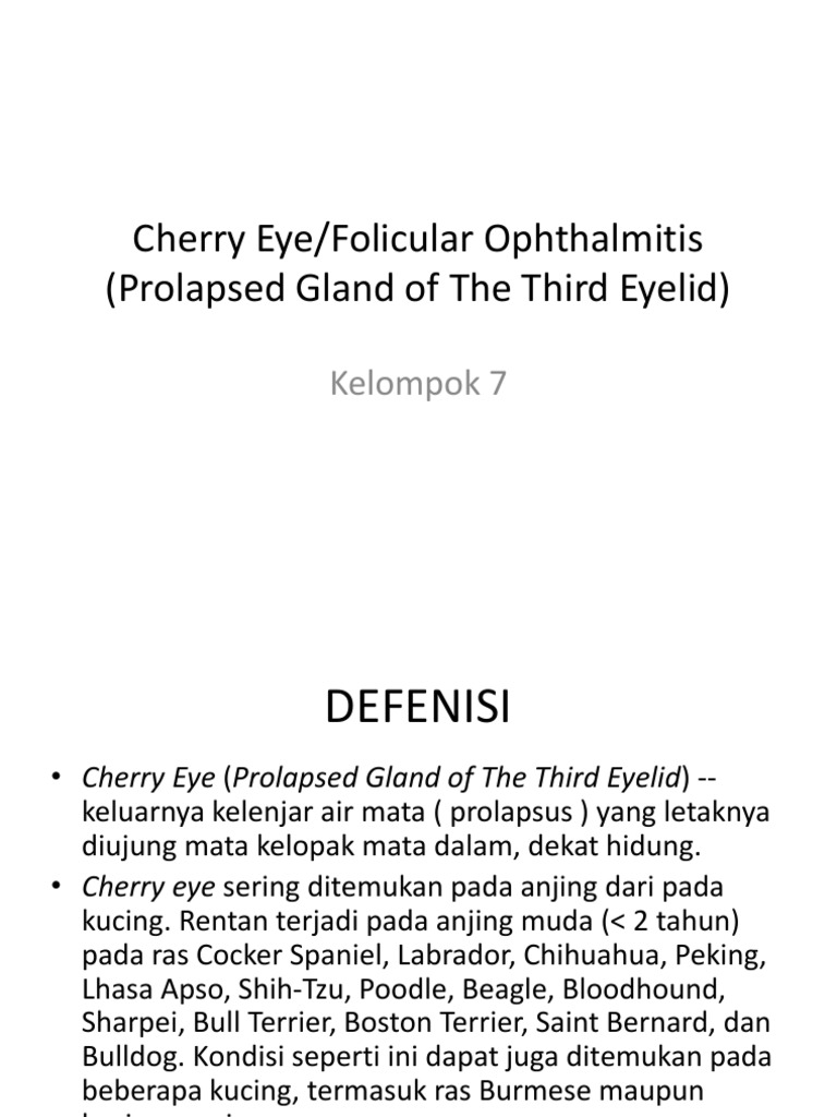 Cherry Eye  PDF