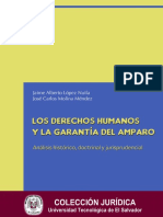 libro derechos humanos.pdf