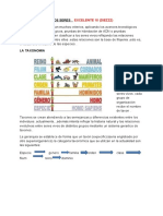 Clasificacion de Los Seres 2 PDF