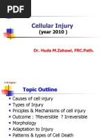 Download Pathology Lecture 2 Cell Injury slides by Ali Al-Qudsi SN37955042 doc pdf