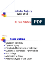 Pathology, Lecture 2, Cell Injury (Slides)