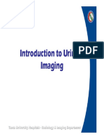 Introduction to Urinary Imaging