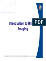 Introduction To Urinary Imaging