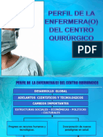 Perfil de Enfermera