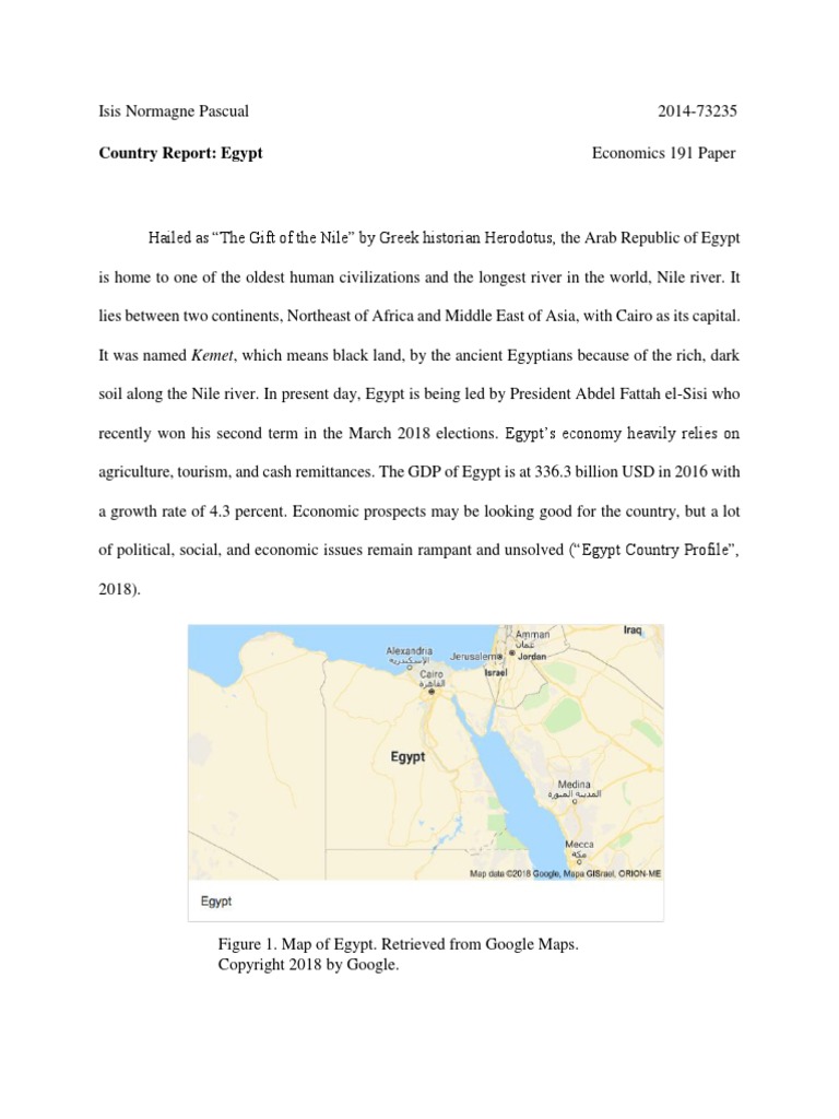 Econ 191 Report | PDF | Abdel Fattah El Sisi | Egypt